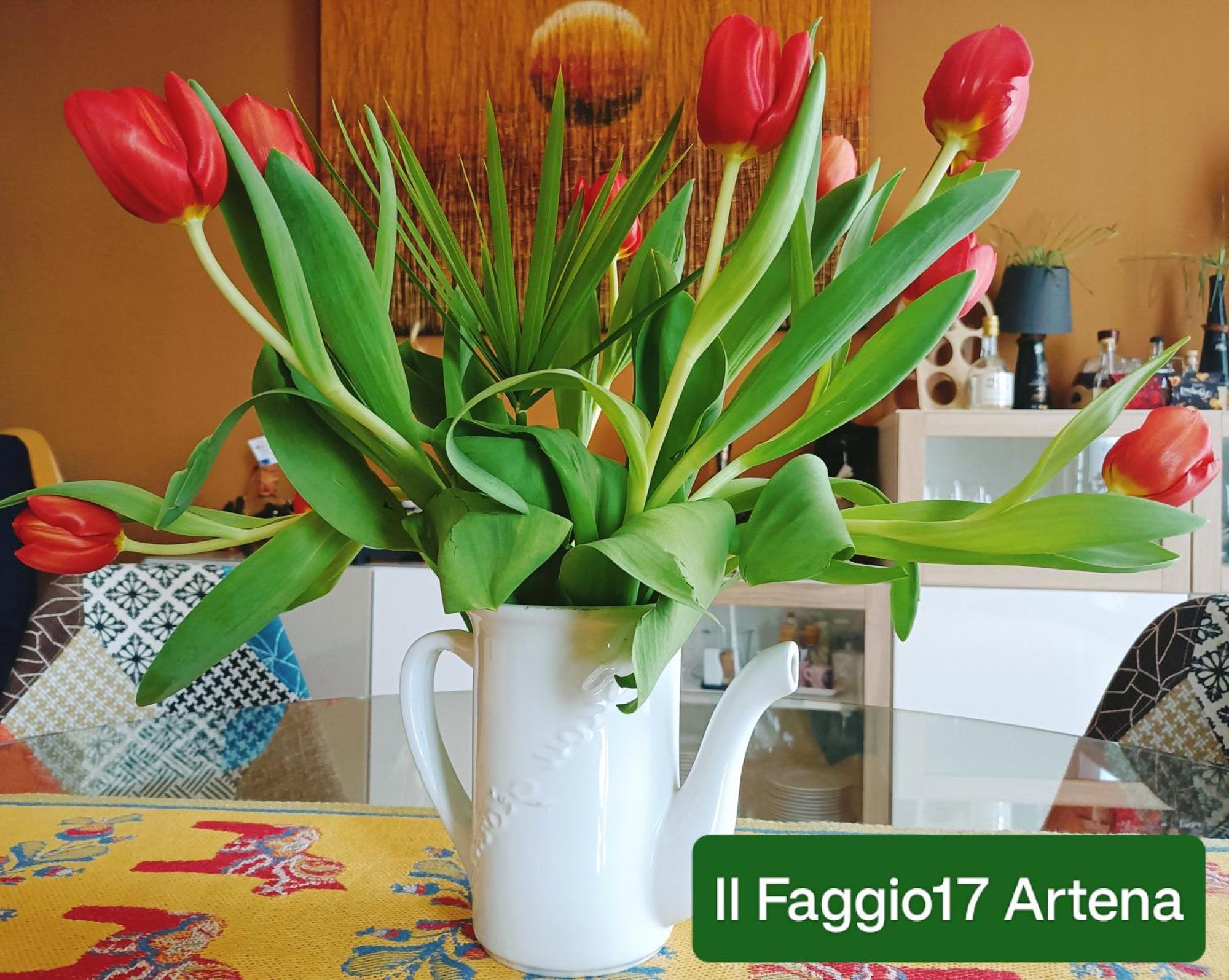 Il Faggio 17 B&B Artena Exterior photo